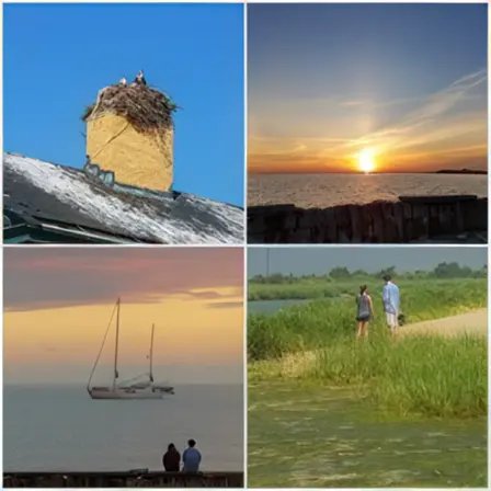 Picture of /images/general/geier-family-review-image1.webp